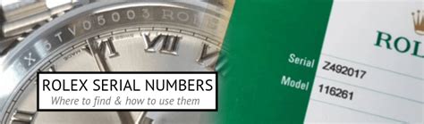 rolex serial number decoder|rolex model serial number lookup.